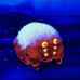 GLYOS BIO JUMPER - CLEAR ORANGE